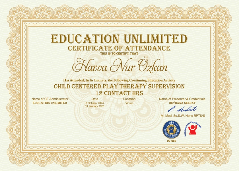 Child Centered Play Therapy Supervision (Oyun Terapisi Süpervizyonu) Sertifikası